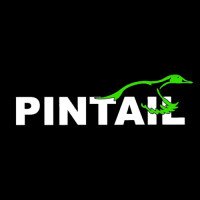 PINTAILD