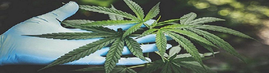 weedmartonline