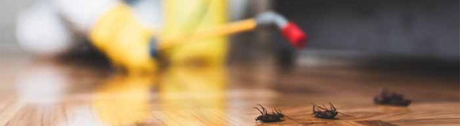 pestcontrolbrackenridge