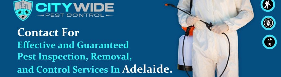 Citywideadelaide
