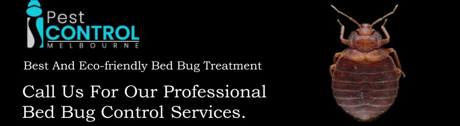 ibedbugcontrol
