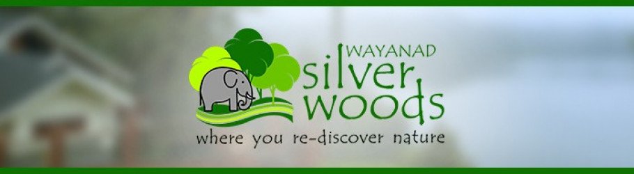 wayanadsilverwoods