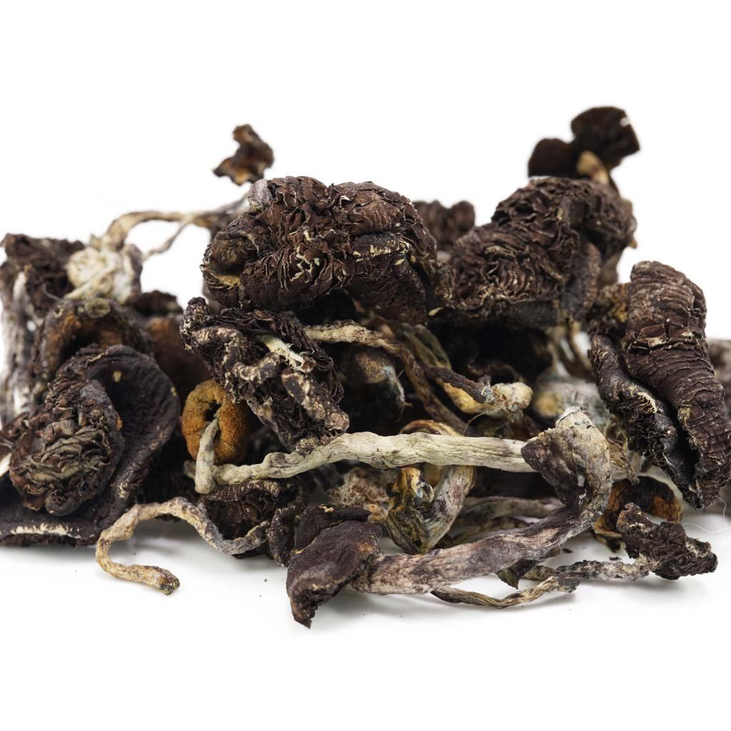 Amazonian Shrooms