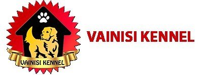 Dog Kennels In Chennai