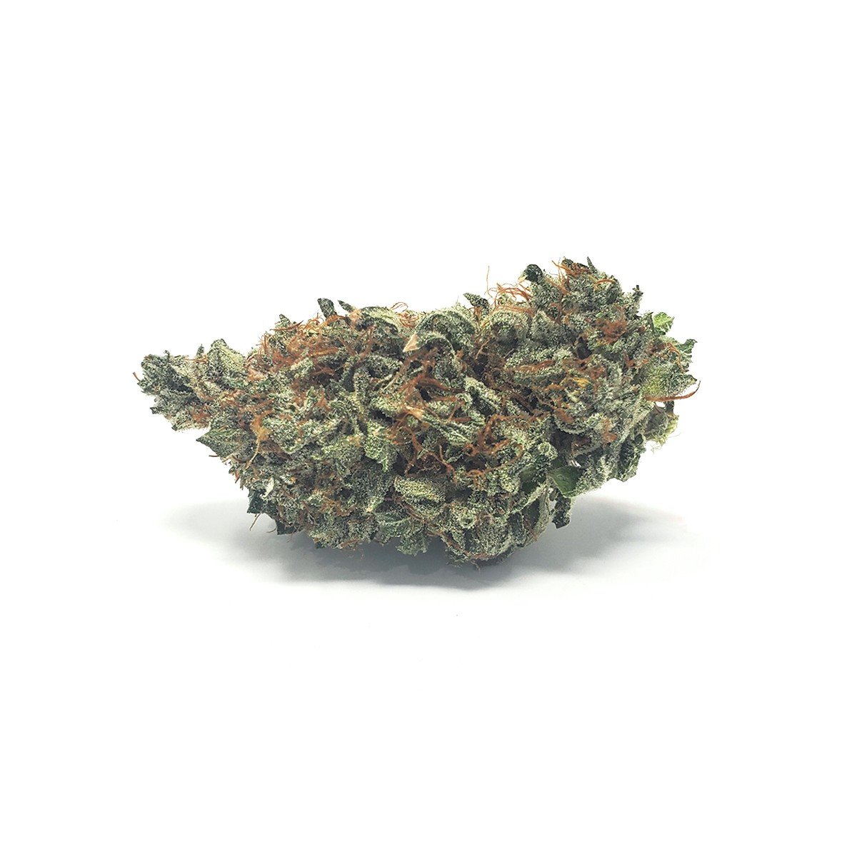 Gorilla Glue #4