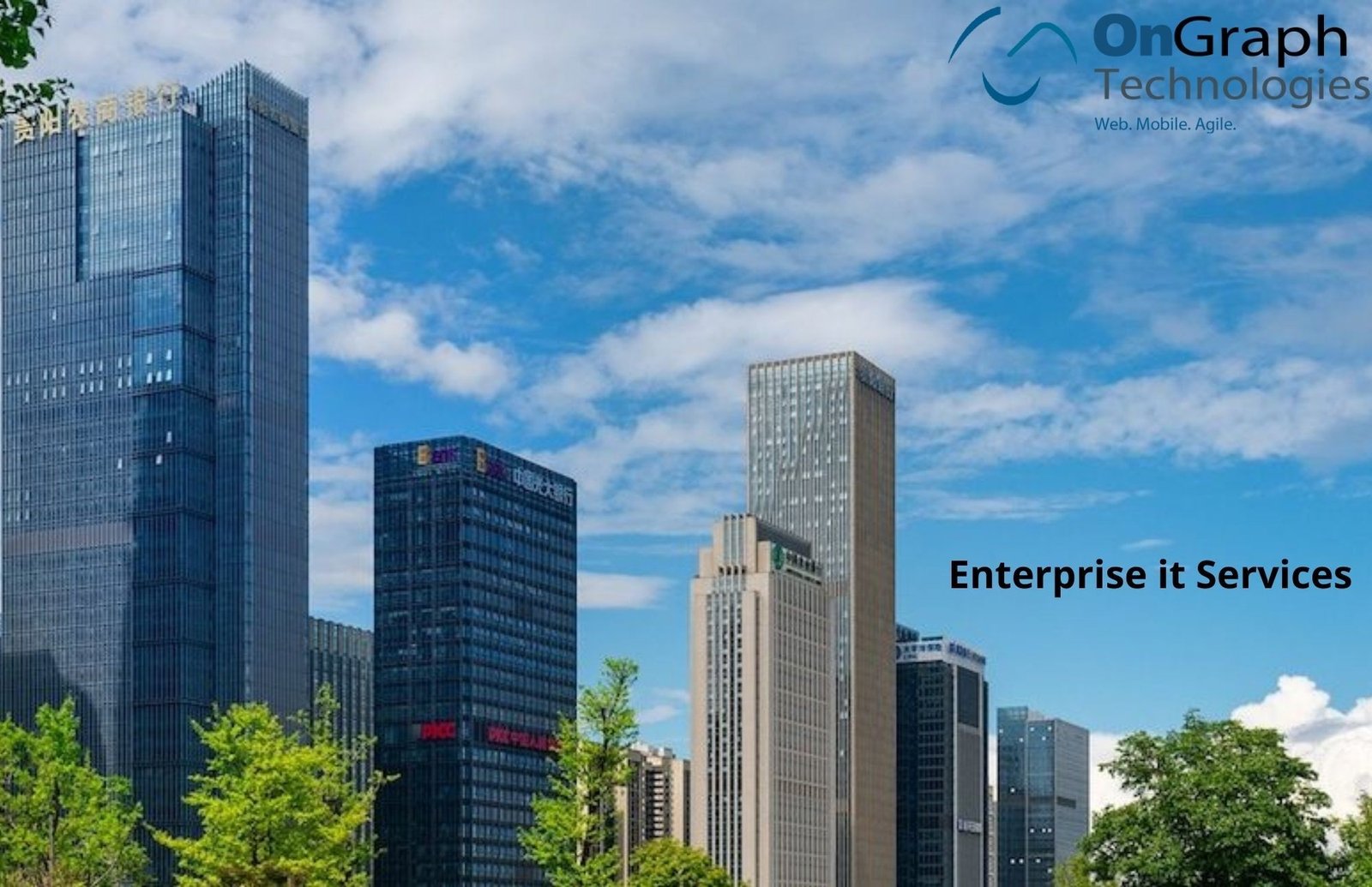 Enterprise IT services