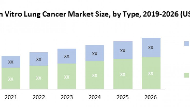 Global In Vitro Lung Model Market