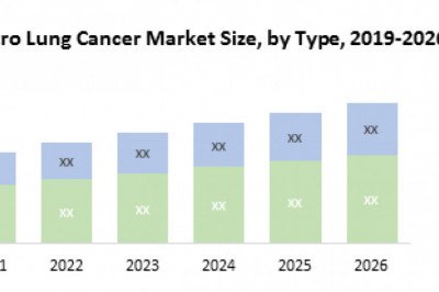 Global In Vitro Lung Model Market