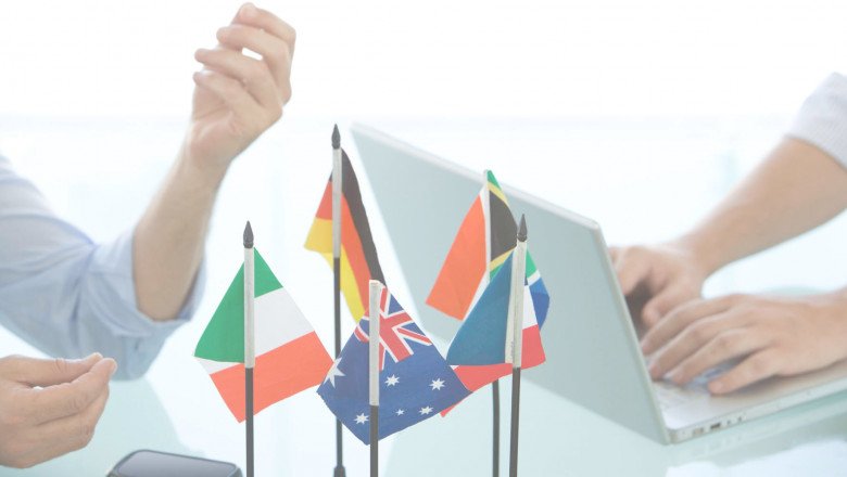Freelance or Professional Translation Agency
