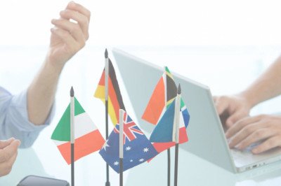 Freelance or Professional Translation Agency