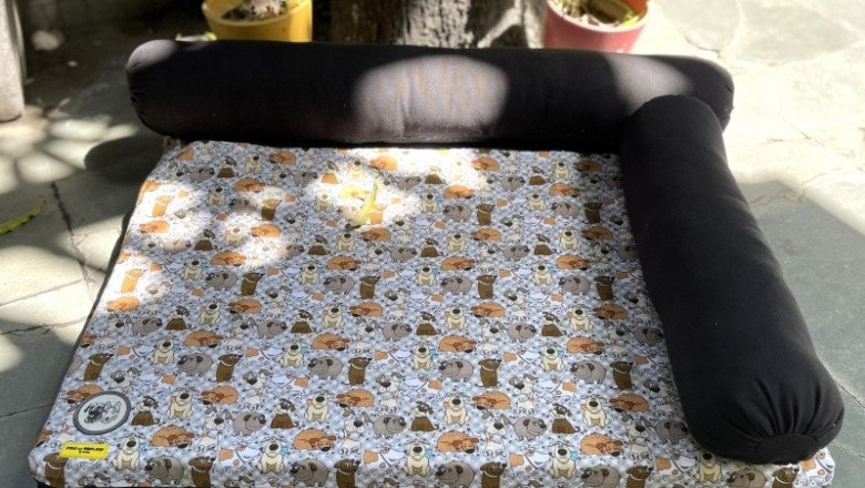 The Importance of a Good Dog Bed