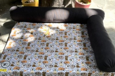 The Importance of a Good Dog Bed