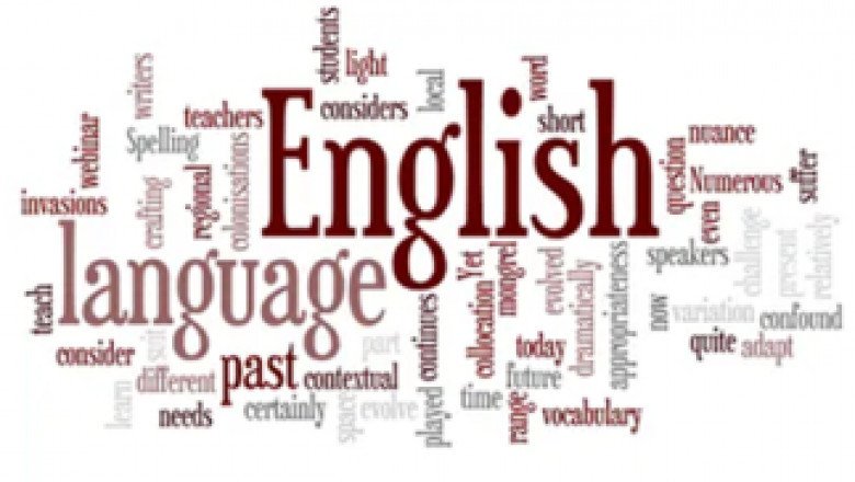 Professional English to French Translation Services