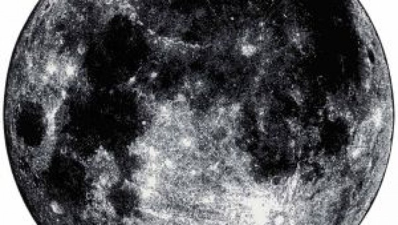 Lay grandeur to your living space with Circular Rugs!