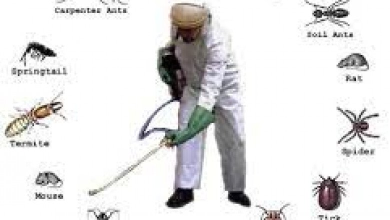 Pest control in hyderabad