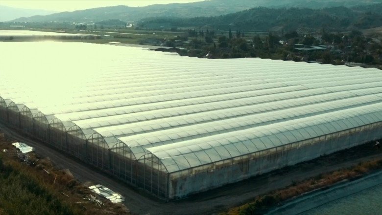 WE MANUFACTURE WORLD-CLASS COIR PRODUCTS FOR CULTIVATION SOLUTIONS