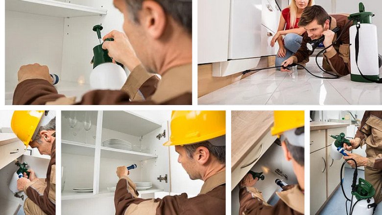Pest Control Canberra