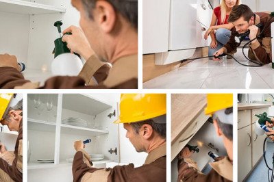 Pest Control Canberra