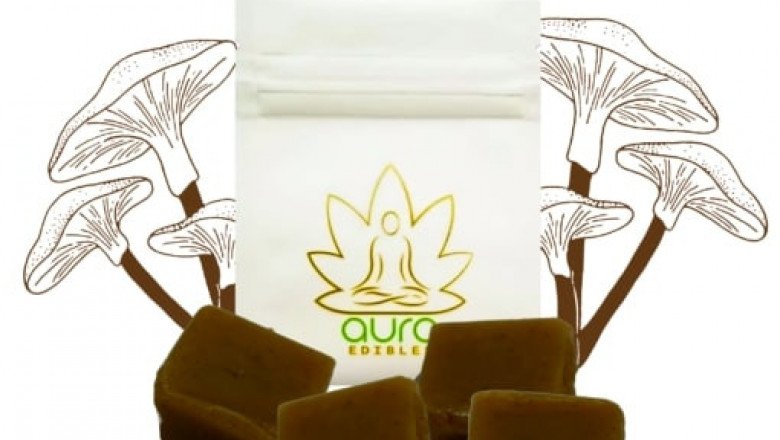 Aura Extract Artisan Psilocybe Caramels – Coco Chocolatier