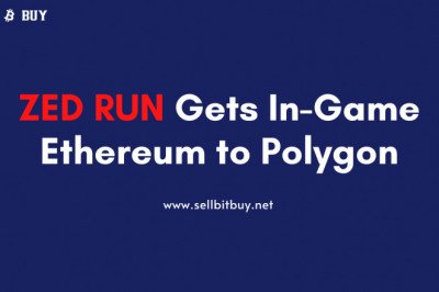 ZED RUN Gets In-Game Ethereum to Polygon
