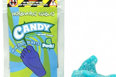 Herbivores Bluefoot Blast