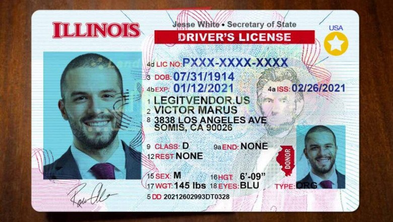 Buy Illinois fake Driver's License online