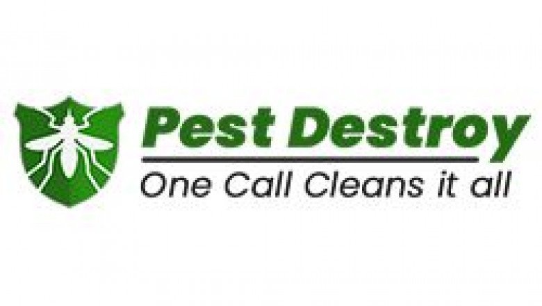 Pest Control Service in Adelaide