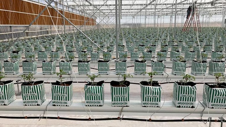 Next Gen Farming Without Soil and 90% Less Water | GRATEFUL