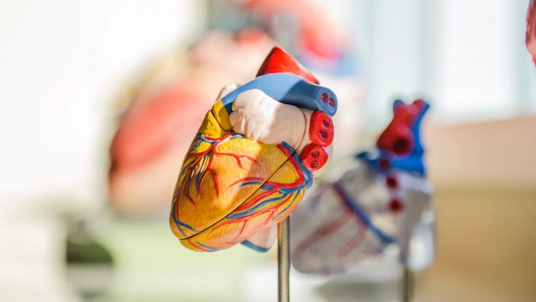 heart specialist centre