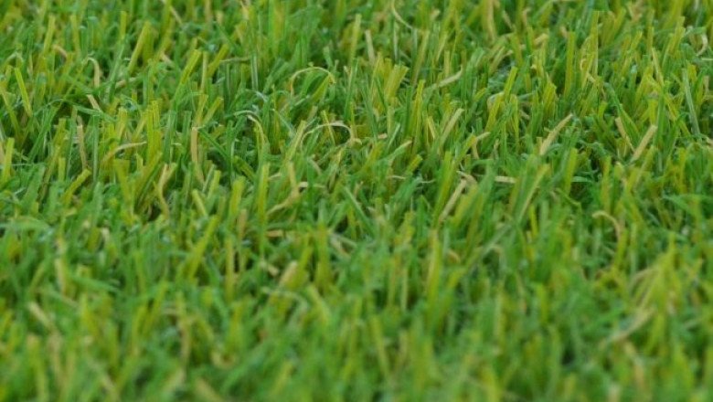 Want to convert your garden into your personal golf course? Buy Soft Artificial Grass!