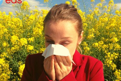 Emergency Dentist Meriden, NH 03770 - Proper Dental Care