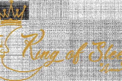 Sleep Well Preschooler (King Of Sleep)