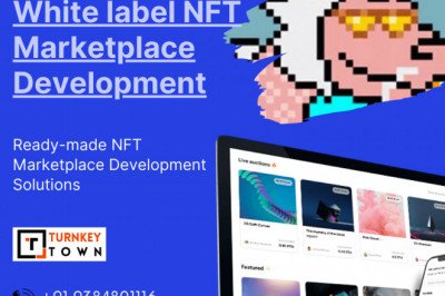 Drive the crypto enthusiast towards your White-label NFT platform!