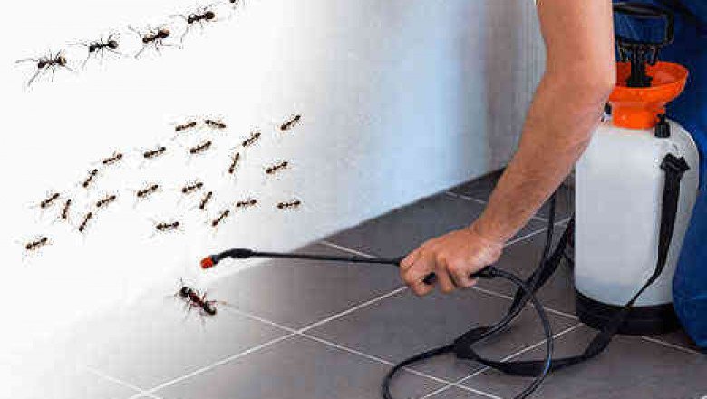 Pest Control Canning Vale