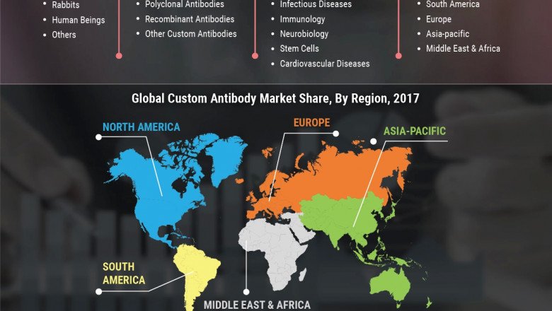 Custom Antibody Market trends with worldwide Industry Analysis, Features, Top Player and Forecast 2030