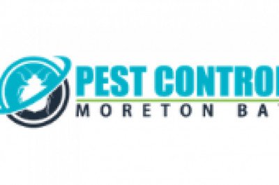 Pest Control Moreton Bay