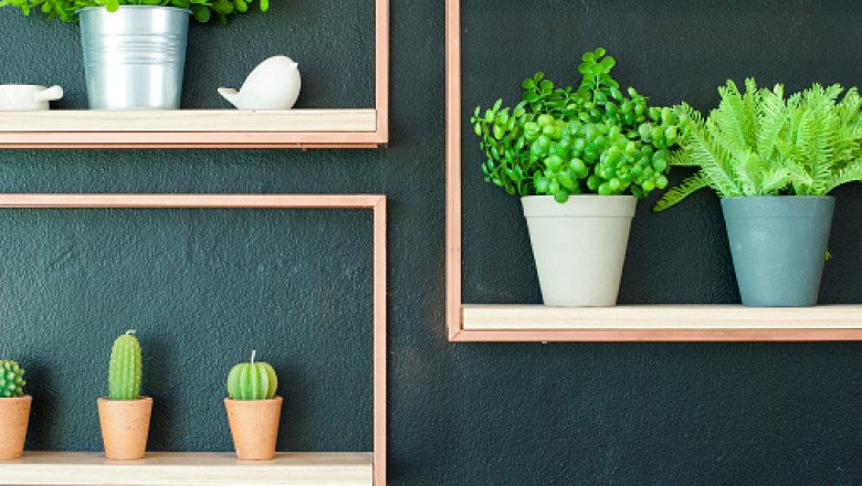 Artificial Plants Market Growth, Share, Forecast, Product, Revenue, Key Player, Regional Demand