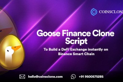 Build a DeFi Exchange on Binance Smart Chain using goose finance clone script