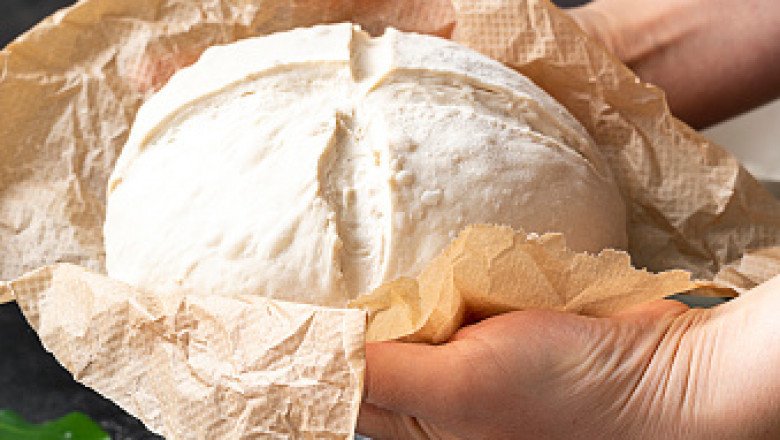 Feed Yeast Market Value, Forecast, Business Prospects, Demand with Overview of Competitor