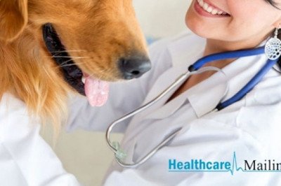 Buy our active veterinarian emails and increase your revenue generation rates.