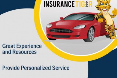 Insurance advisor in Toronto