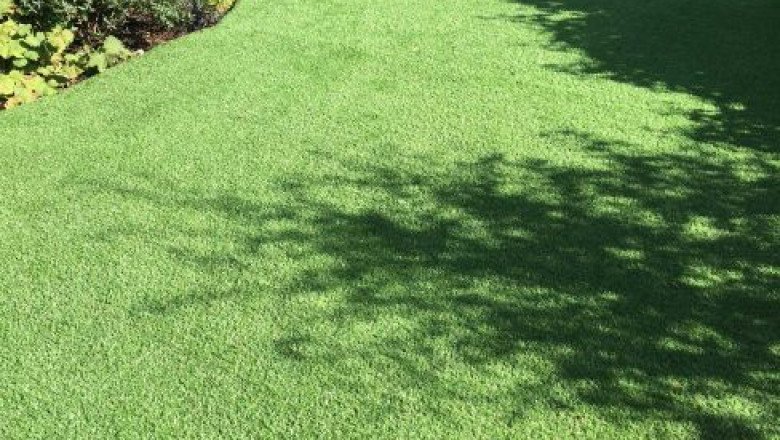 Want to give a unique appeal to your lawn? Buy High Quality Artificial Grass!