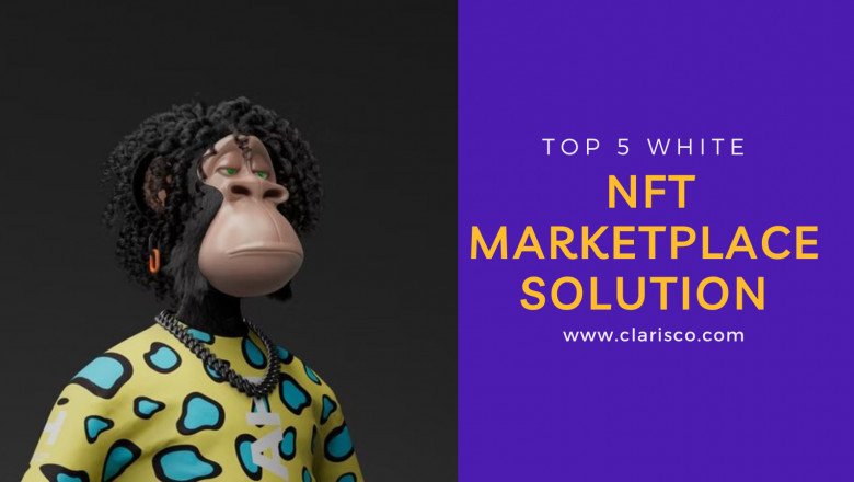 Top 5 White Nft Marketplace Solution