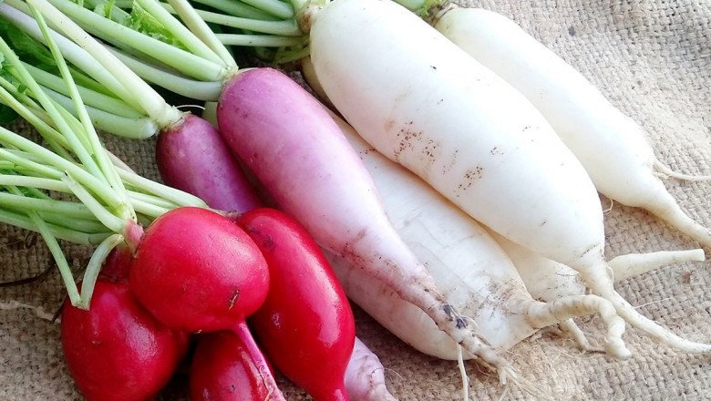 Health Benefits of Radishes
