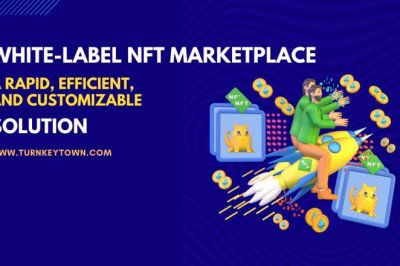 Venture Into The Lucrative NFT World With White label NFT Marketplace Development