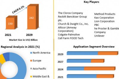 Laundry Detergent Market Size, Status, Top Players, Trends and Forecast to 2029