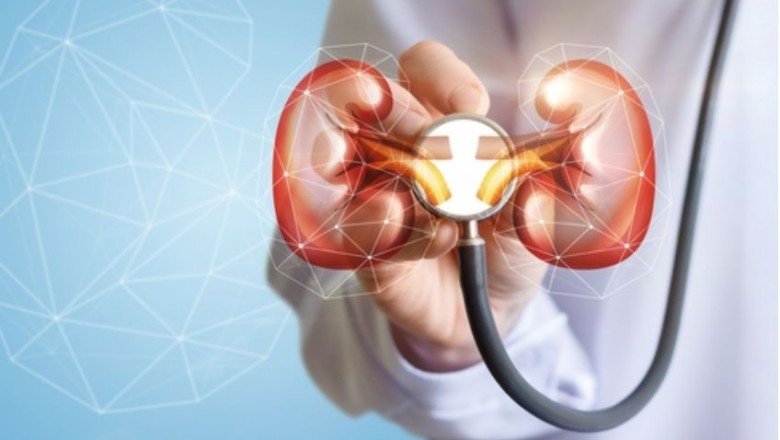 How Can You Keep Your Kidneys Working?