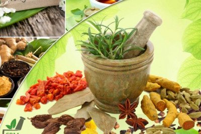 Ayurvedic Pharmaceutical Companies in India