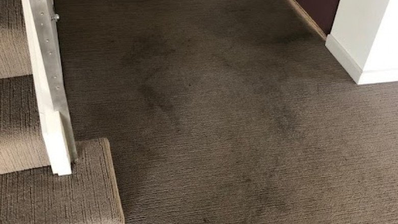 Toms Carpet Steam Cleaning Frankston