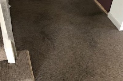 Toms Carpet Steam Cleaning Frankston